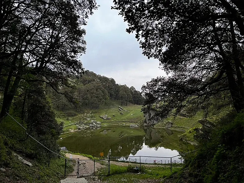 Trekking path through forest to Serolsar Lake near Jalori Pass